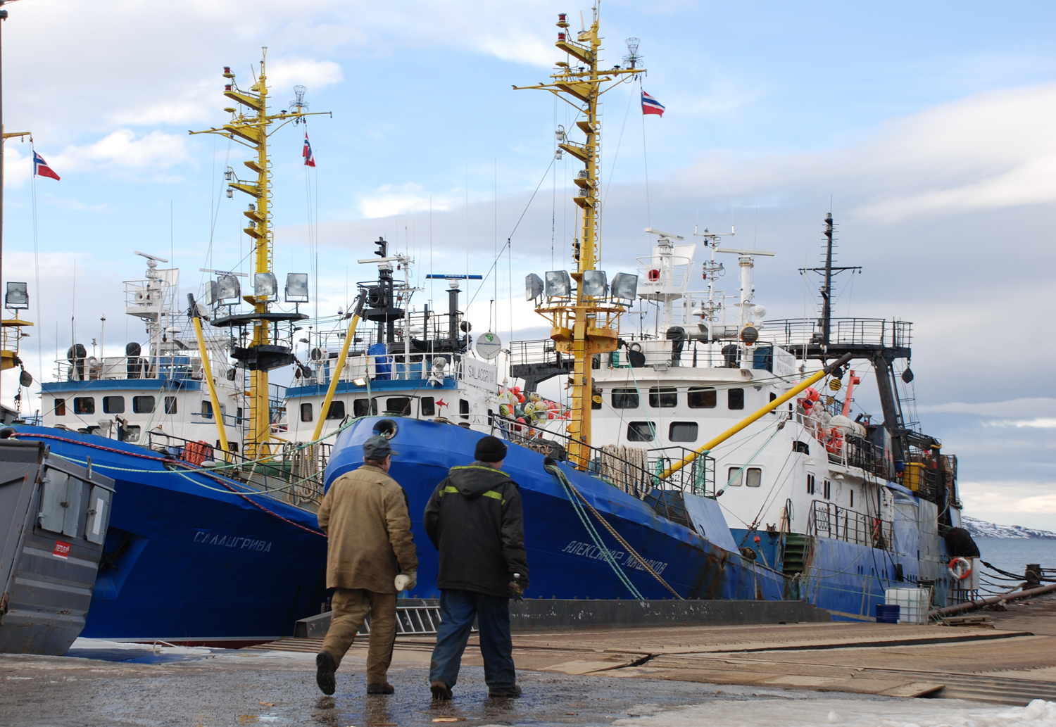 баренцево море судно